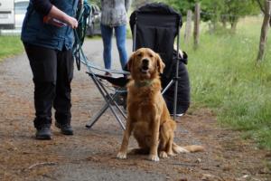 Training 24.05.2020 – Bechlingen 135